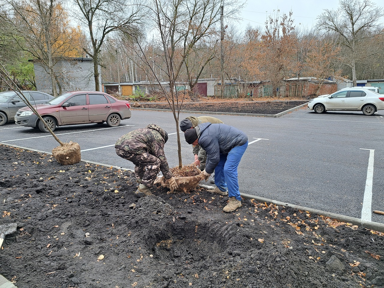 В Сердобске на семейной аллее высадили липу и сирень с кизильником
