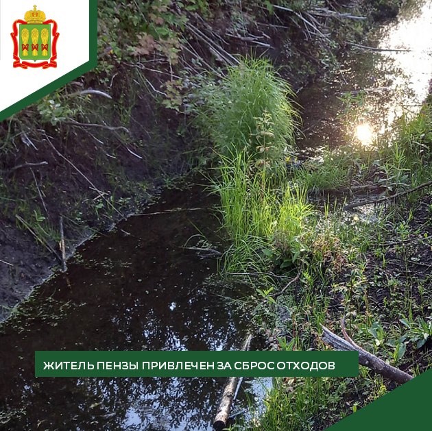 В Кузнецке жителя оштрафовали за слив жидких отходов на землю