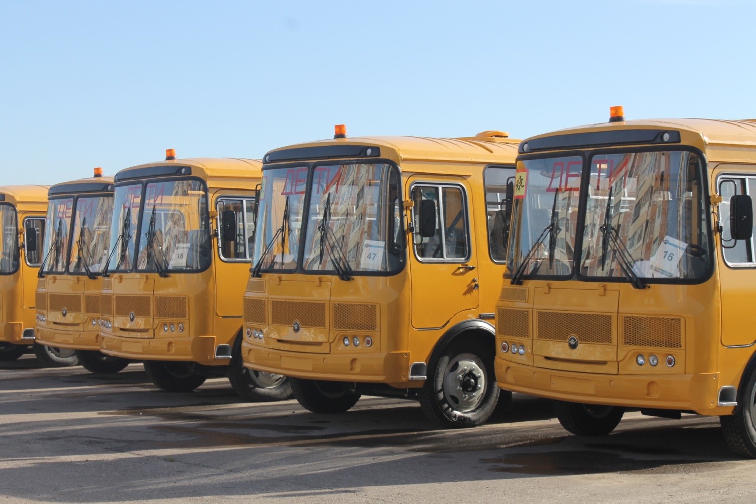 Пензенские образовательные учреждения пополнились 12 новыми школьными автобусами