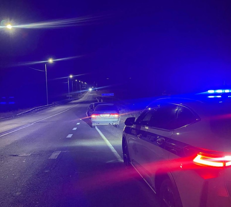 В Пензенской области патруль ДПС помог автоледи на федеральной трассе