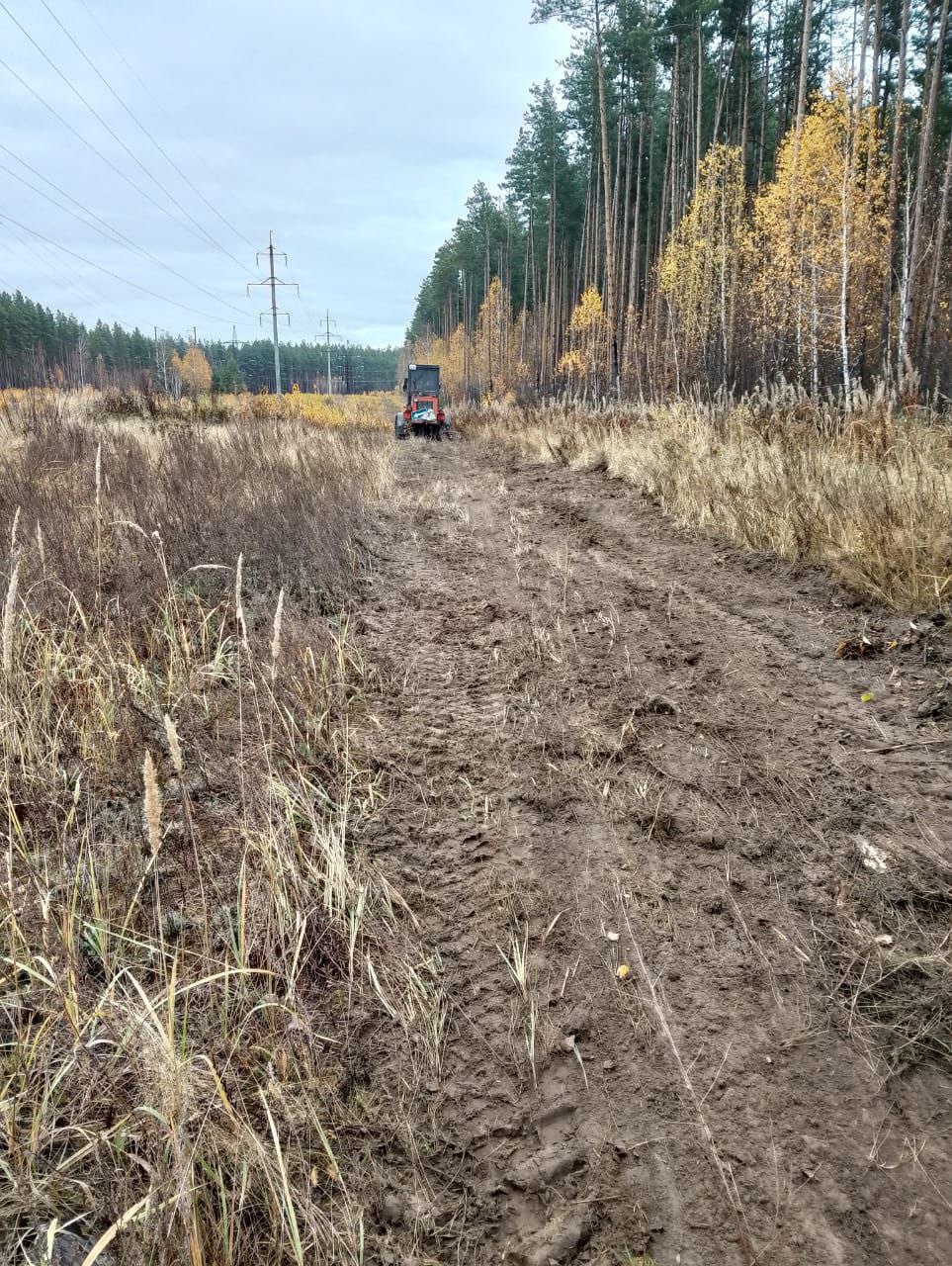 К лыжной базе в Кузнецке проложили асфальтированную дорогу