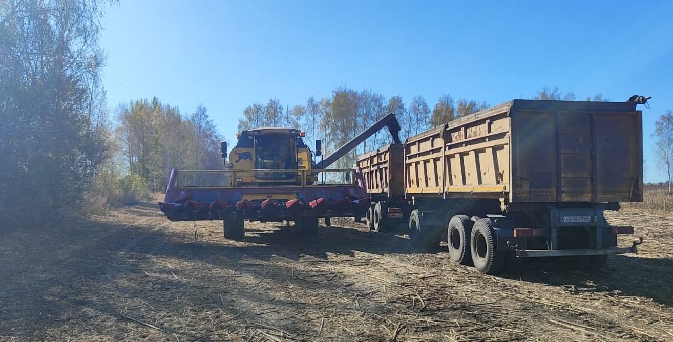 В Сердобском районе собрано уже более 150 тысяч тонн зерна