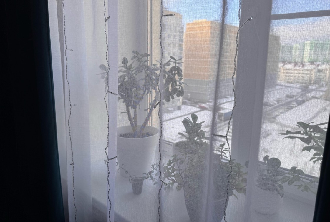 Дом, построенный на костях, не дает покоя его жителям