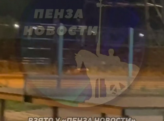 Пензенцы снова встретили лису в городе, в этот раз в Арбеково