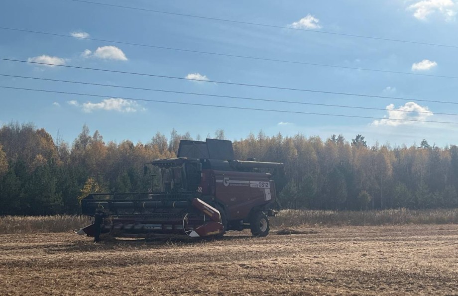 Пензенские аграрии собрали сотни тысяч тонн подсолнечника и рекордно много сои