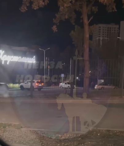 В Пензе дикая плутовка подкралась к мужчине у катка