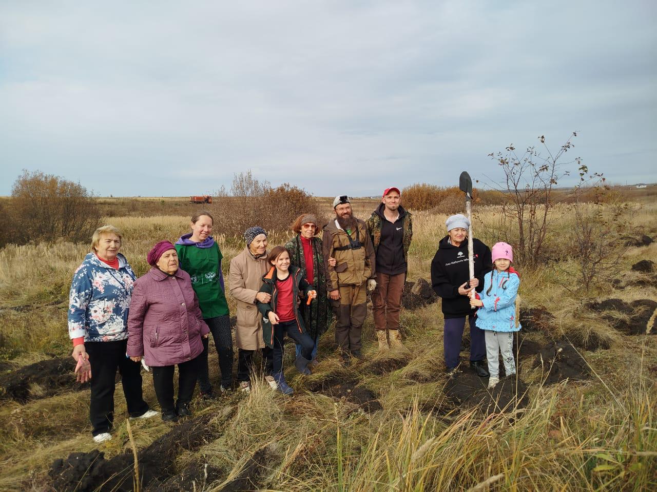 В Пензе в Парке Дружбы высадили 10 000 сеянцев сосны и заложили дубраву