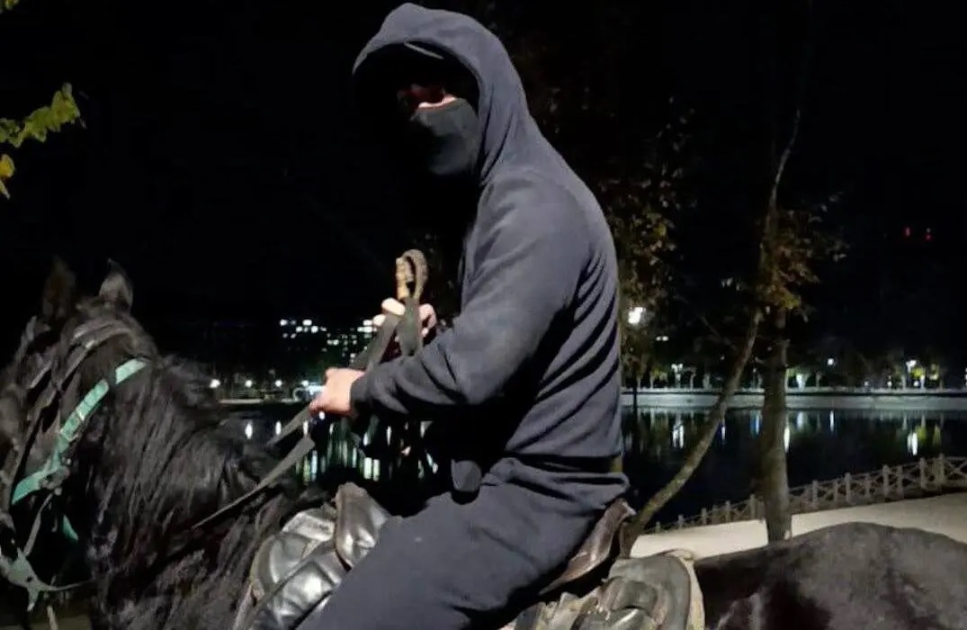 Полицейские ищут всадников в масках, избивших пожилую пару плетками