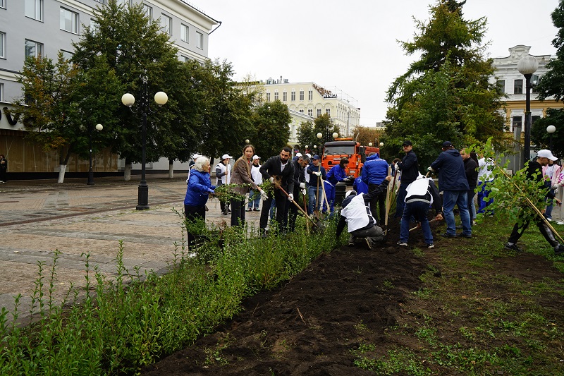 В Пензе закупят более 1000 деревьев и кустарников на 9,8 млн рублей