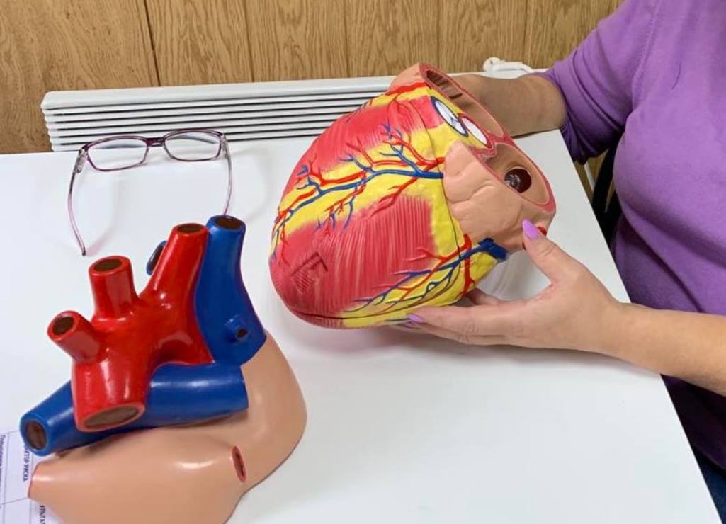 Пензенский врач Батракова: ночной сон критически важен для здоровья сердца