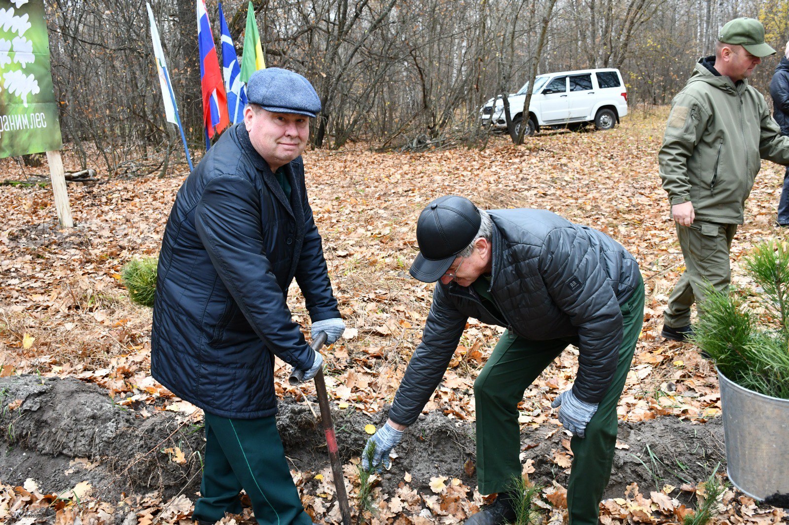 В Лопатинском районе высадили более 1,5 тысячи сеянцев сосны