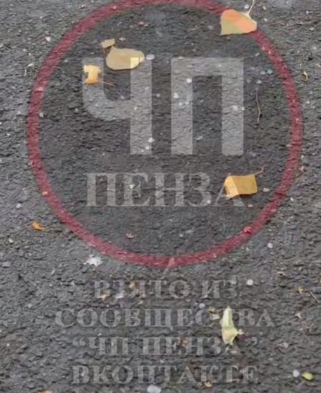 В Пензенской области пошел первый снег 15 октября