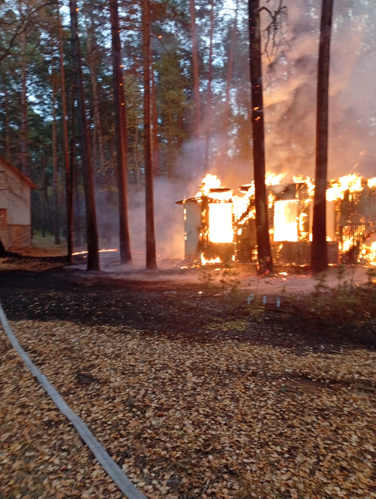 В Городищенском районе сгорело здание заброшенного лагеря Чайка