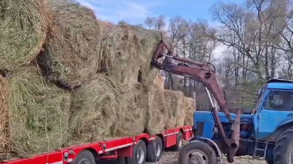 В Никольском районе создают стратегический запас кормов для диких животных
