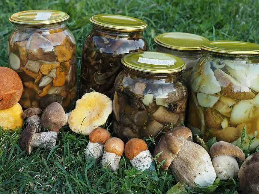 В пензенском центре спецвидов рассказали: даже безобидные консервы могут убить