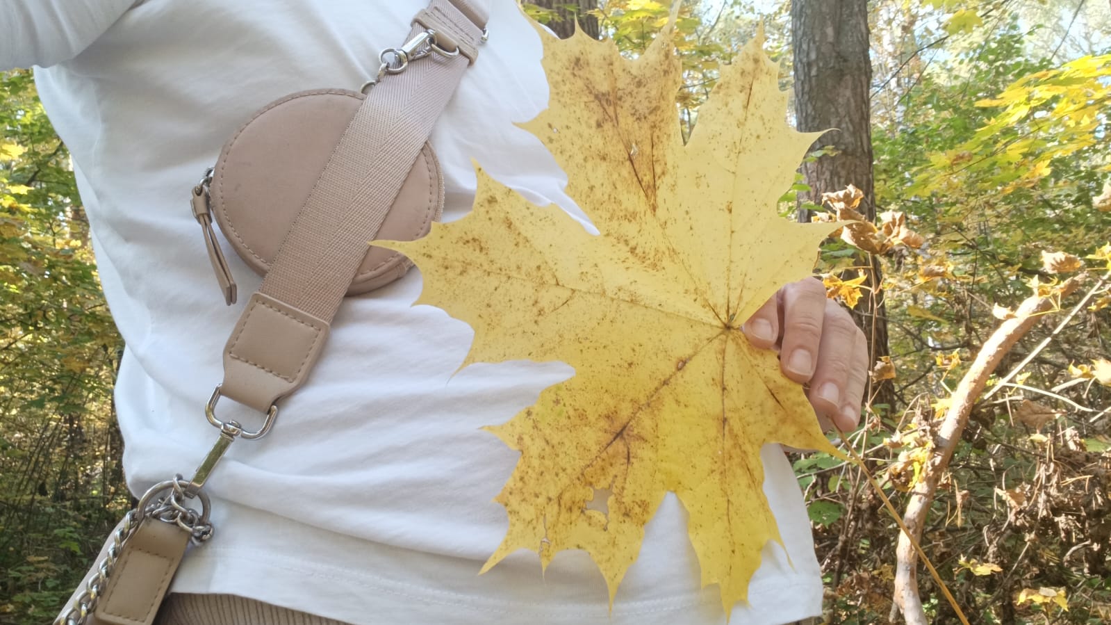 В пензенской трудовой инспекции напомнили о гарантиях для беременных сотрудниц