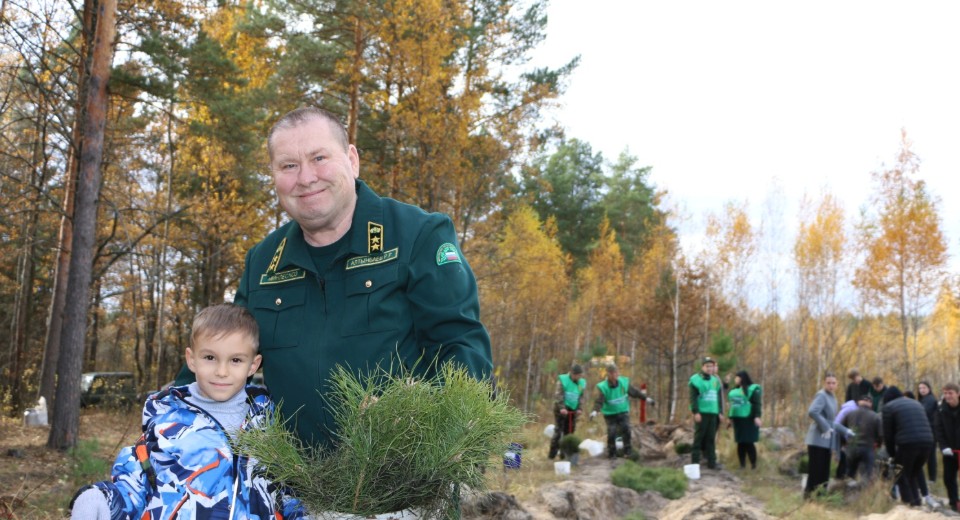 В Пензенской области высадили пять тысяч молодых сосен