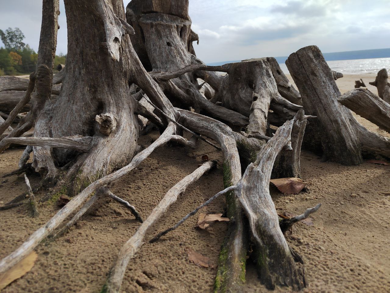 Пенза пока не вошла в федеральную программу Вода России