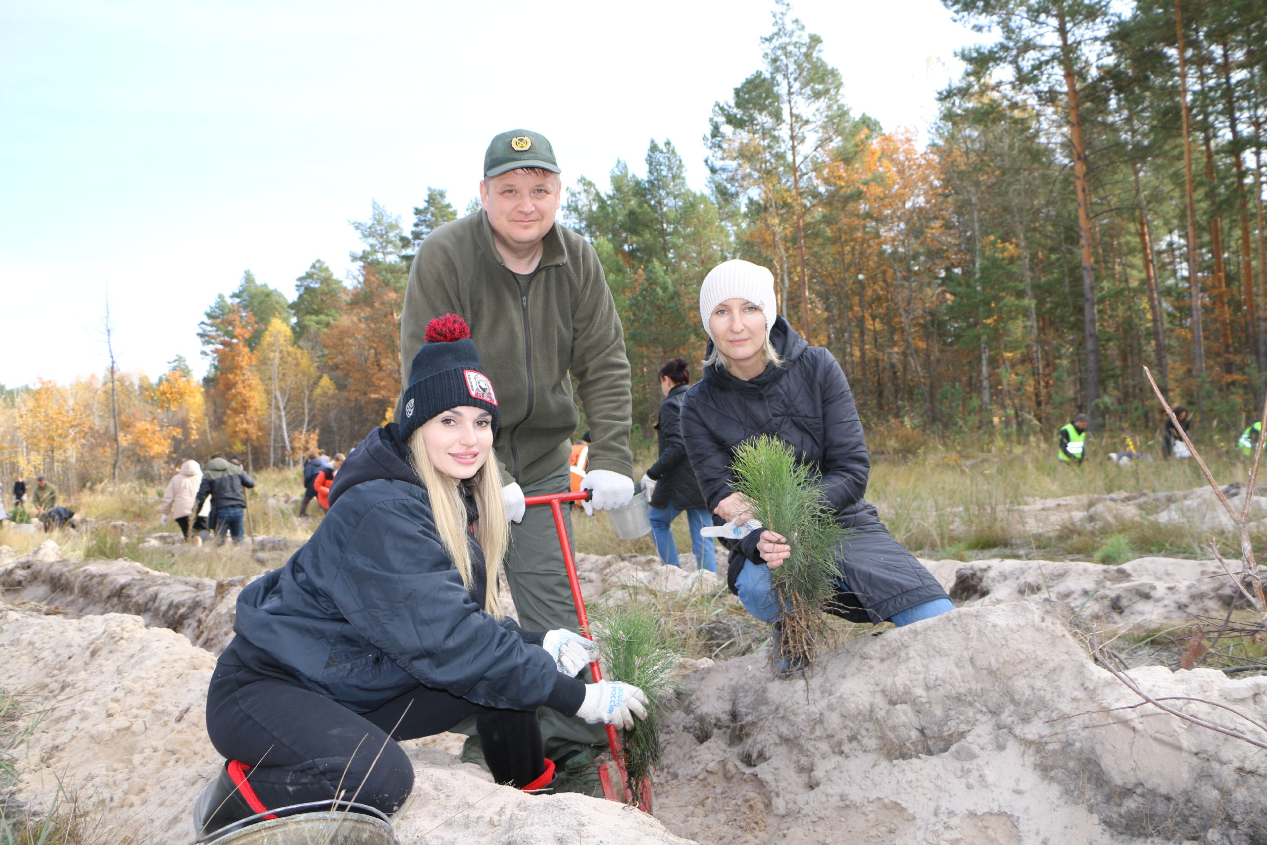 В Пензенской области высадили более 5 тысяч саженцев сосны