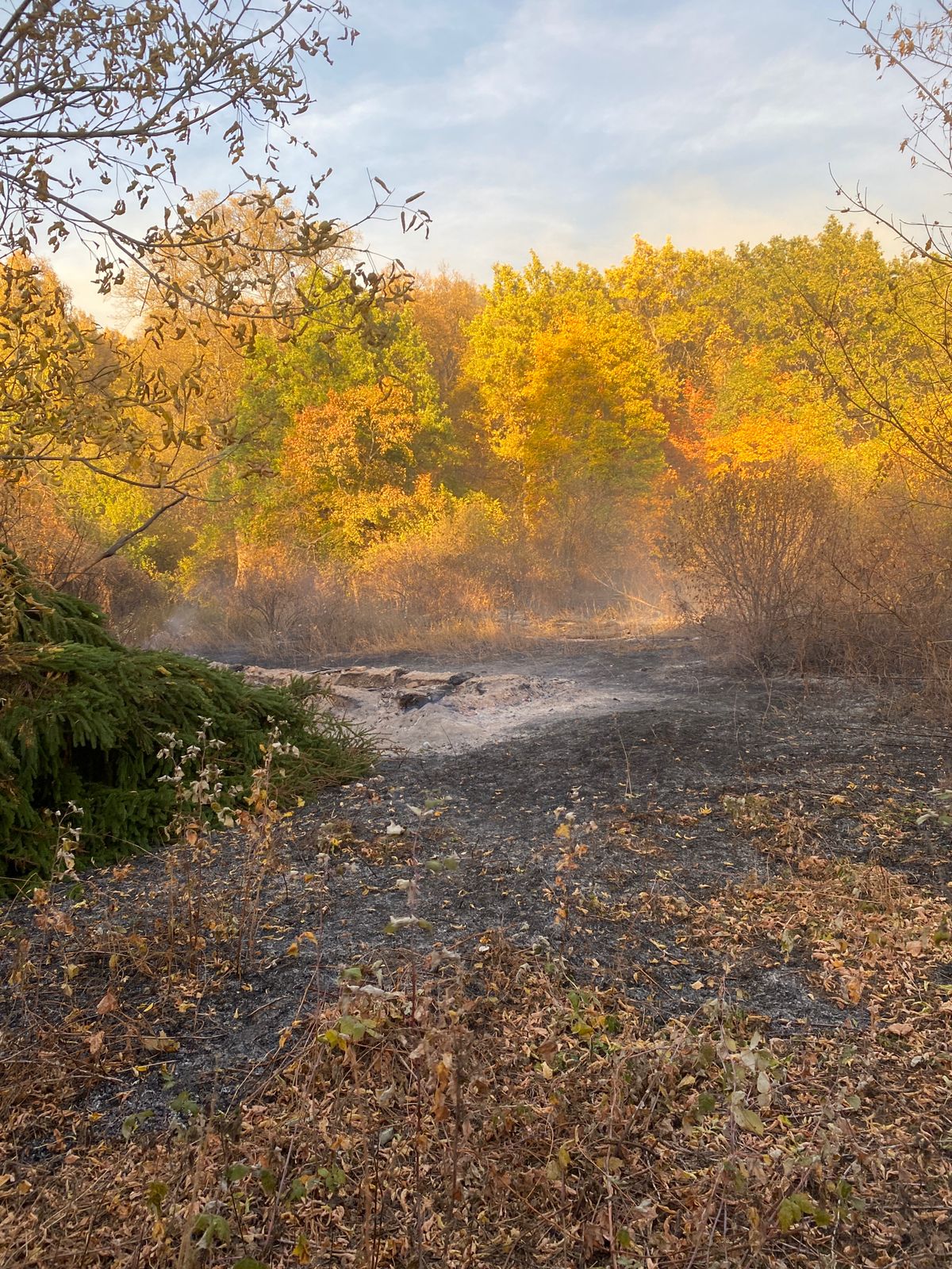 Сразу три лесных пожара случились за сутки в Никольском районе