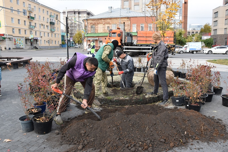 В Пензе высадили более 200 деревьев и кустарников