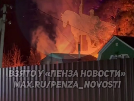 Пожарные тушили крупное возгорание в пензенском СНТ 19 октября