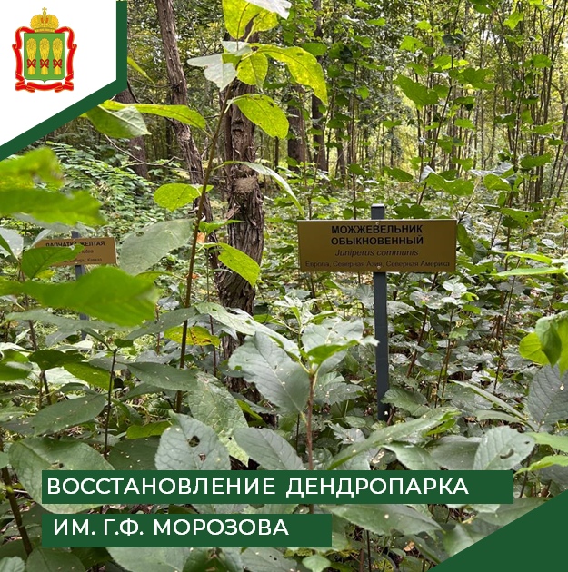 В Морозовском дендрарии установили 50 табличек с названиями растений