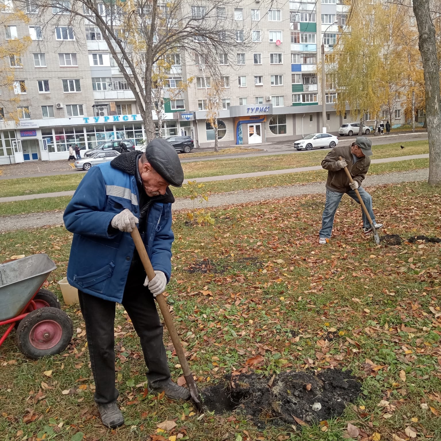 В Детском парке Пензы высадили новые деревья вместо зараженных
