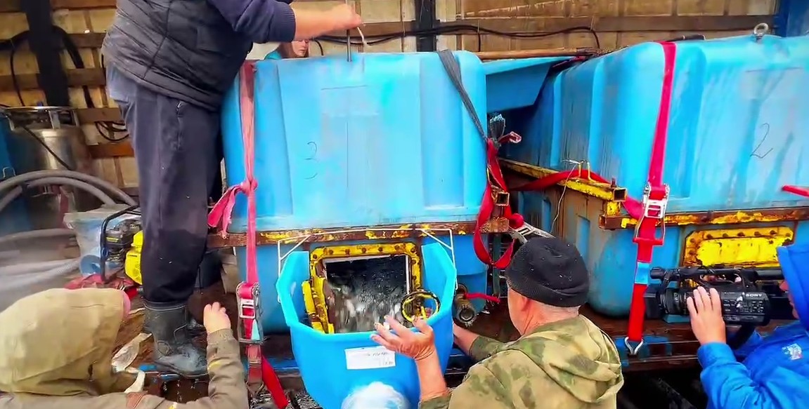 Сурское водохранилище пополнили 272 тысячами мальков толстолобика