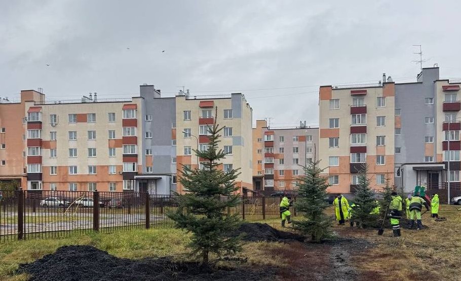 Пензенскую Зарю украсили новыми кленами и рябинами