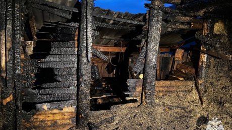 В селе Кузнецкого района на одной улице за три дня сгорели две бани