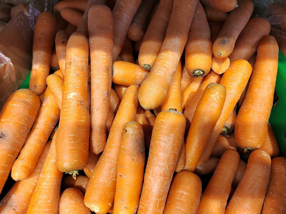 В Пензенской области продавали овощи с паразитами