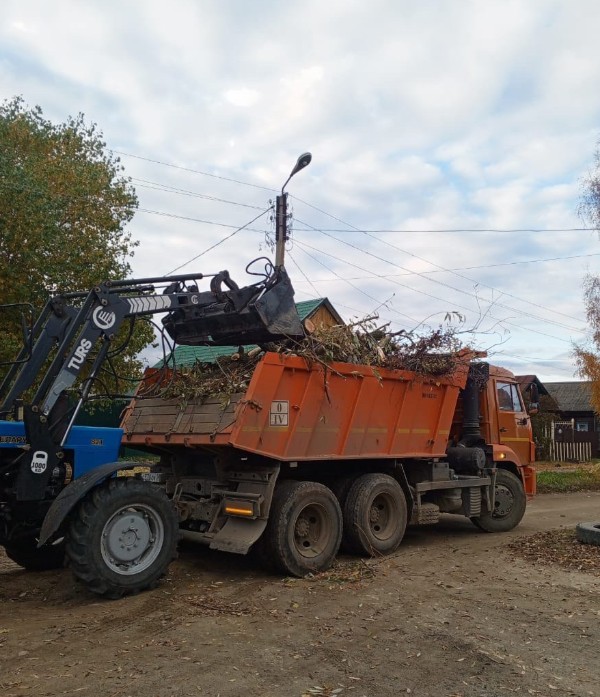 В Кузнецке ликвидировали 12 аварийных деревьев