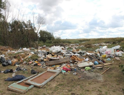 Россельхознадзор выявил свалки мусора на 7 га сельхозземель в Пензенской области