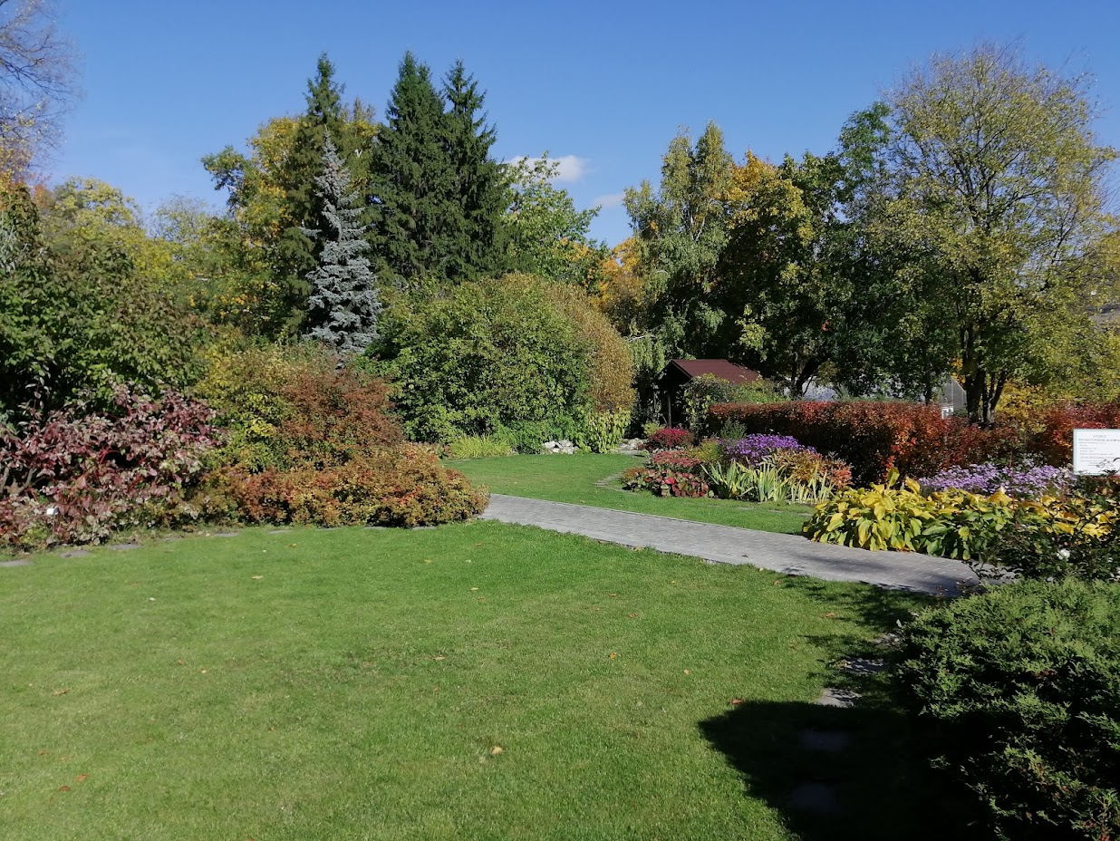 В Пензенском ботаническом саду оранжерею закрыли на ремонт