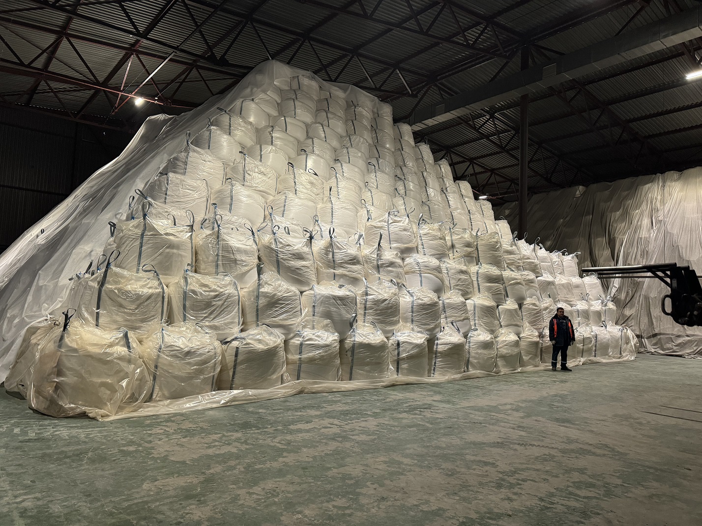 Пензенская область произвела рекордные 200 тысяч тонн сахара