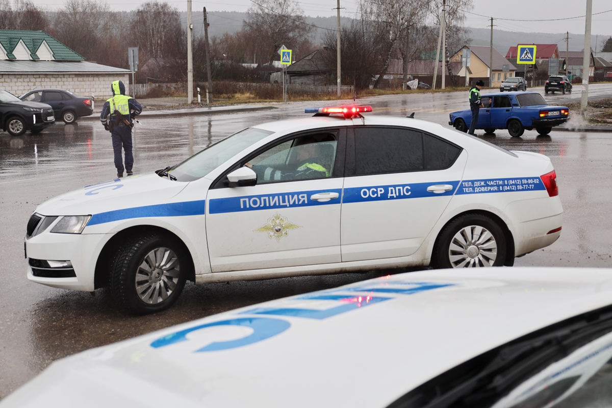 В Пензенской области рейд ОМОНа помог найти человека, скрывавшегося от следствия