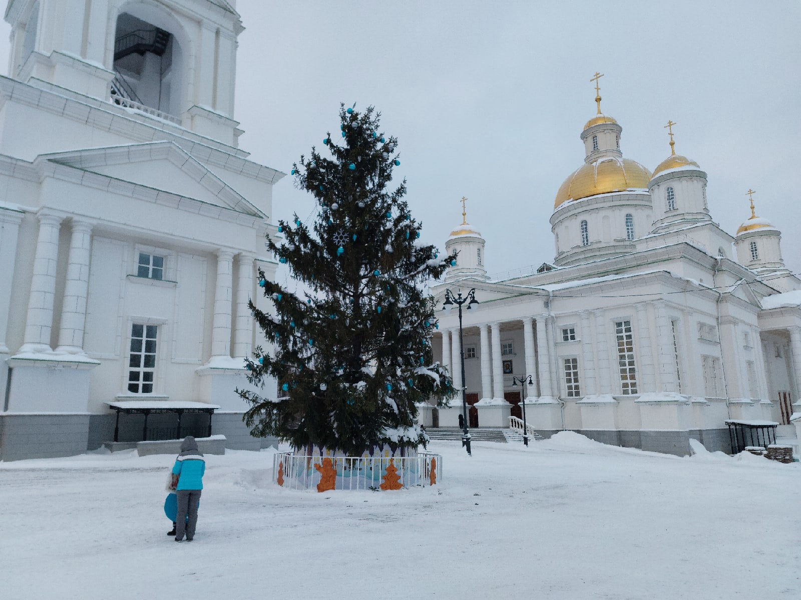 На Соборной площади в Пензе установят живую новогоднюю ель за 130 тысяч рублей