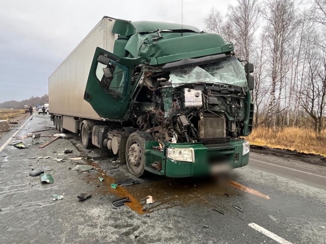 В Иссинском районе фура насмерть сбила водителя грузовика на обочине трассы