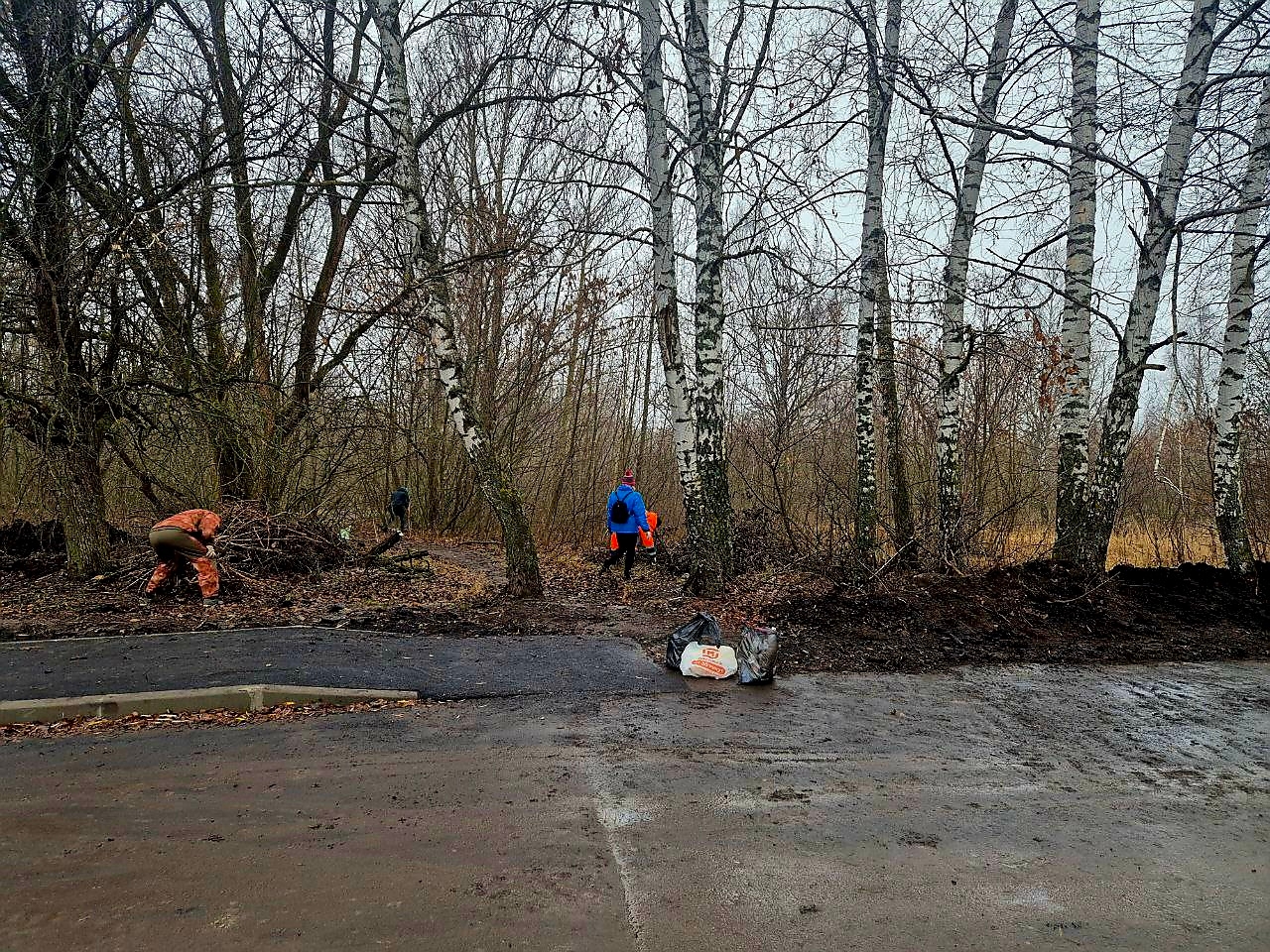 В Сердобске из Соснового бора вывезли более 30 кубометров мусора