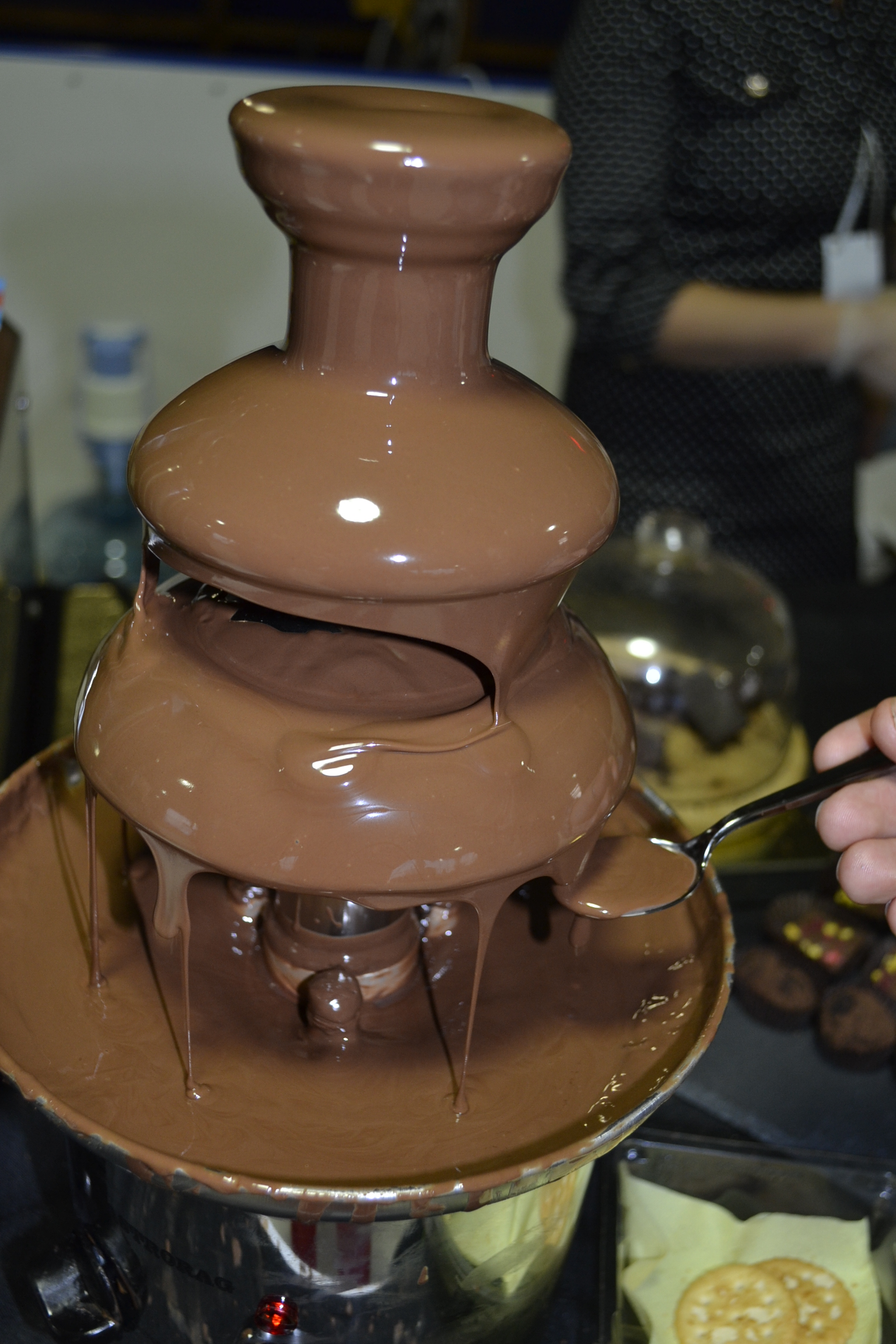 Шоколад начал дорожать из-за снижения урожая какао-бобов на 13%