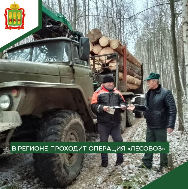 В Пензенской области до 10 декабря будут ловить черных дровосеков