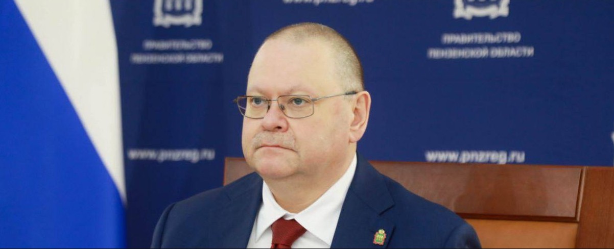 В Пензенской области в три раза сократилось число лесных пожаров в 2025 году