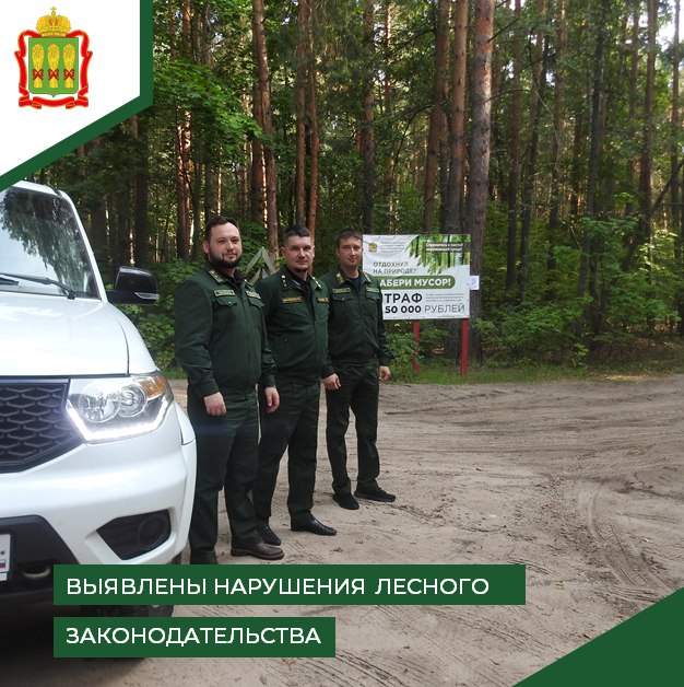 В лесах Пензенской области с начала года выявлено 250 нарушений законодательства