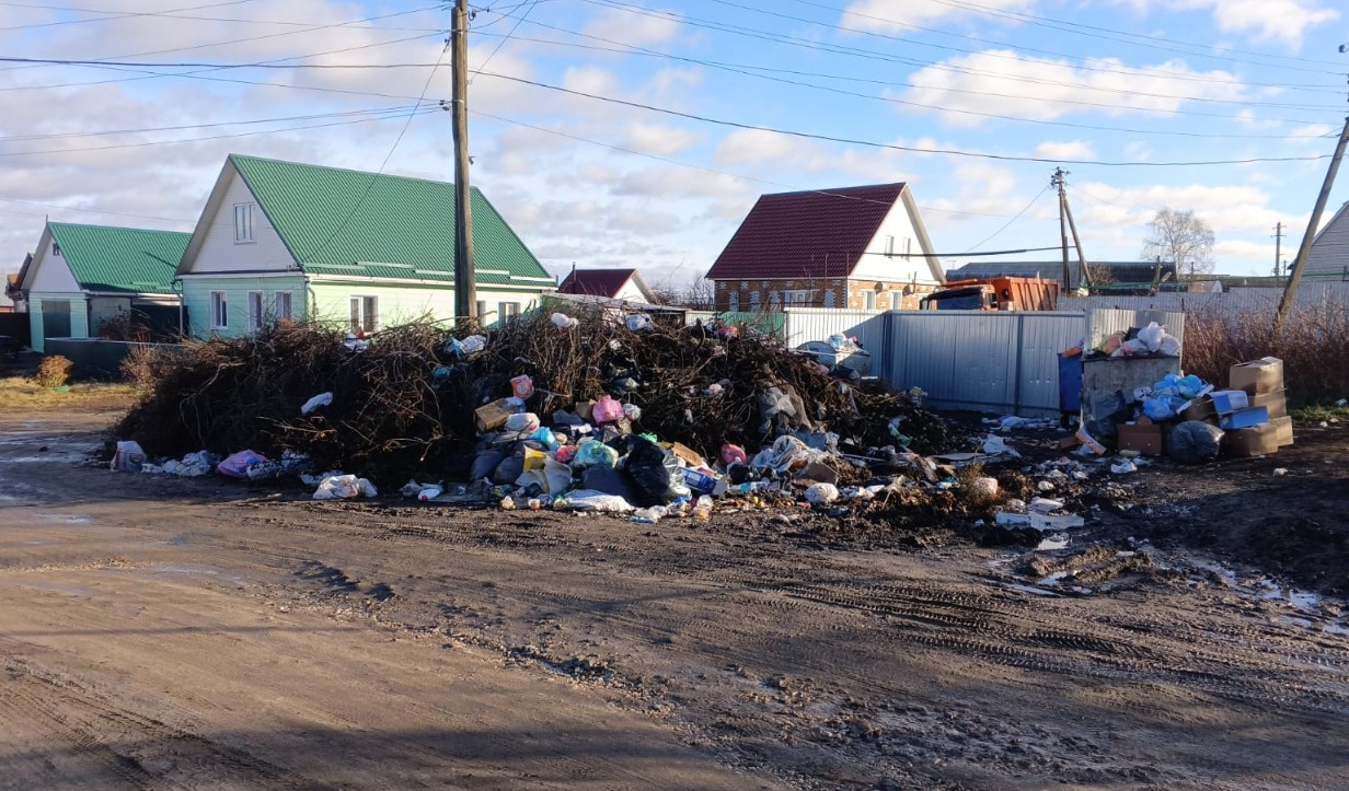 Прокуратура заставила власти Нижнего Ломова убрать незаконную свалку