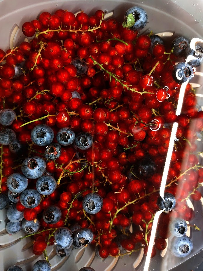 В Пензенской области заложили почти 150 га плодовых растений и ягод