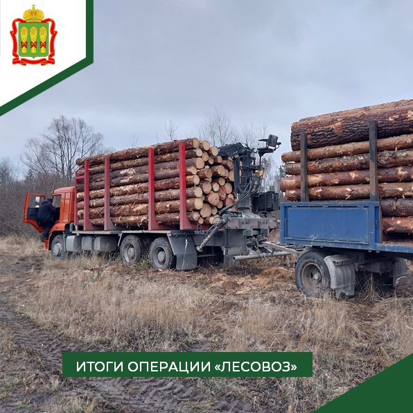 7,92 кубометра незаконной рубки выявили в Пензенской области в ходе рейдов