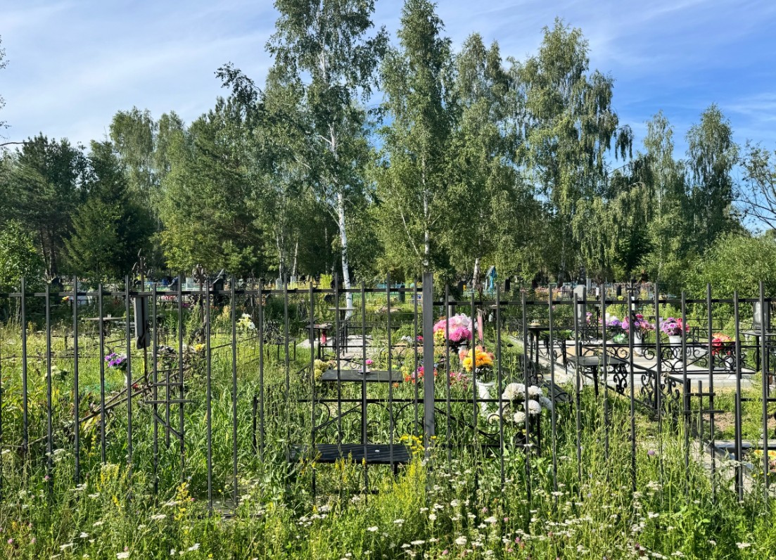 В Пензе на Ново-Западном кладбище опиловка деревьев проводится постепенно