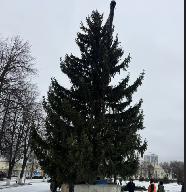 В Кузнецке на центральной площади установили главную елью