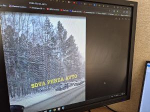 В Пензе легковушка вылетела с дороги и врезалась в дерево